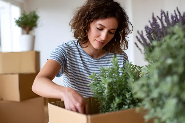 Professional movers in Equestria handling furniture relocation in Pretoria residential area